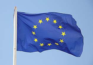 Open letter from all EU Member States’ academies of science concerning the European elections
