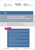 How Important Will Hydrogen be in the Energy System of the Future? (2024)