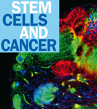 Mehr zu '7. Heinrich F.C. Behr-Symposium „Stammzellen und Krebs”'